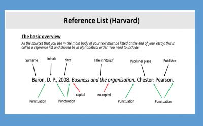 How Do You Harvard Reference a Website: A Journey Through the Labyrinth of Academic Citation