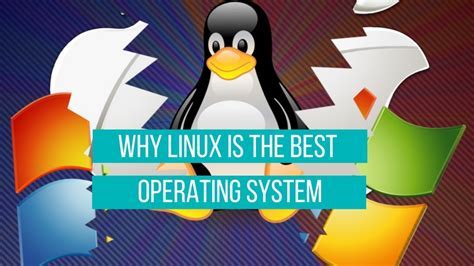 What Type of Software Is Used to Keep the Core System Running: And Why Do Penguins Prefer Linux?